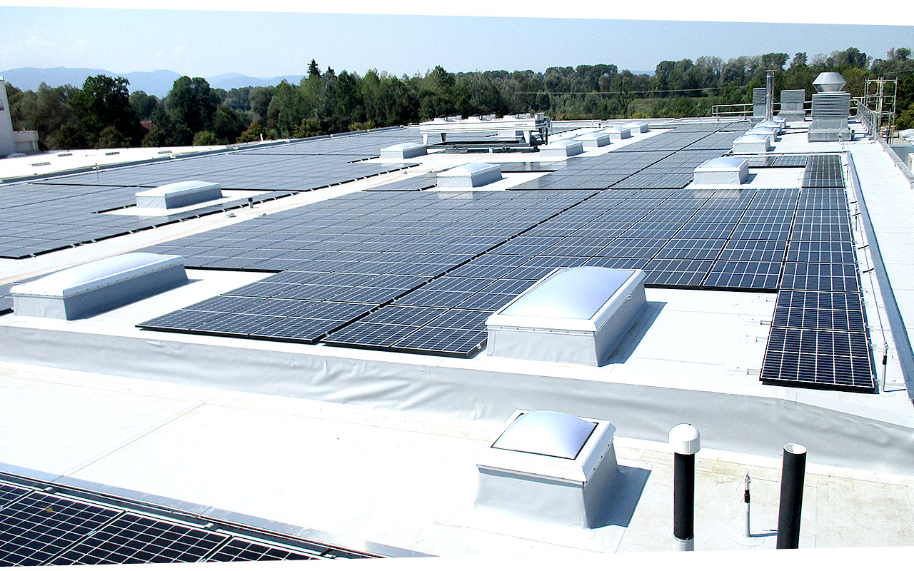 Röckl Flachdachbau GmbH